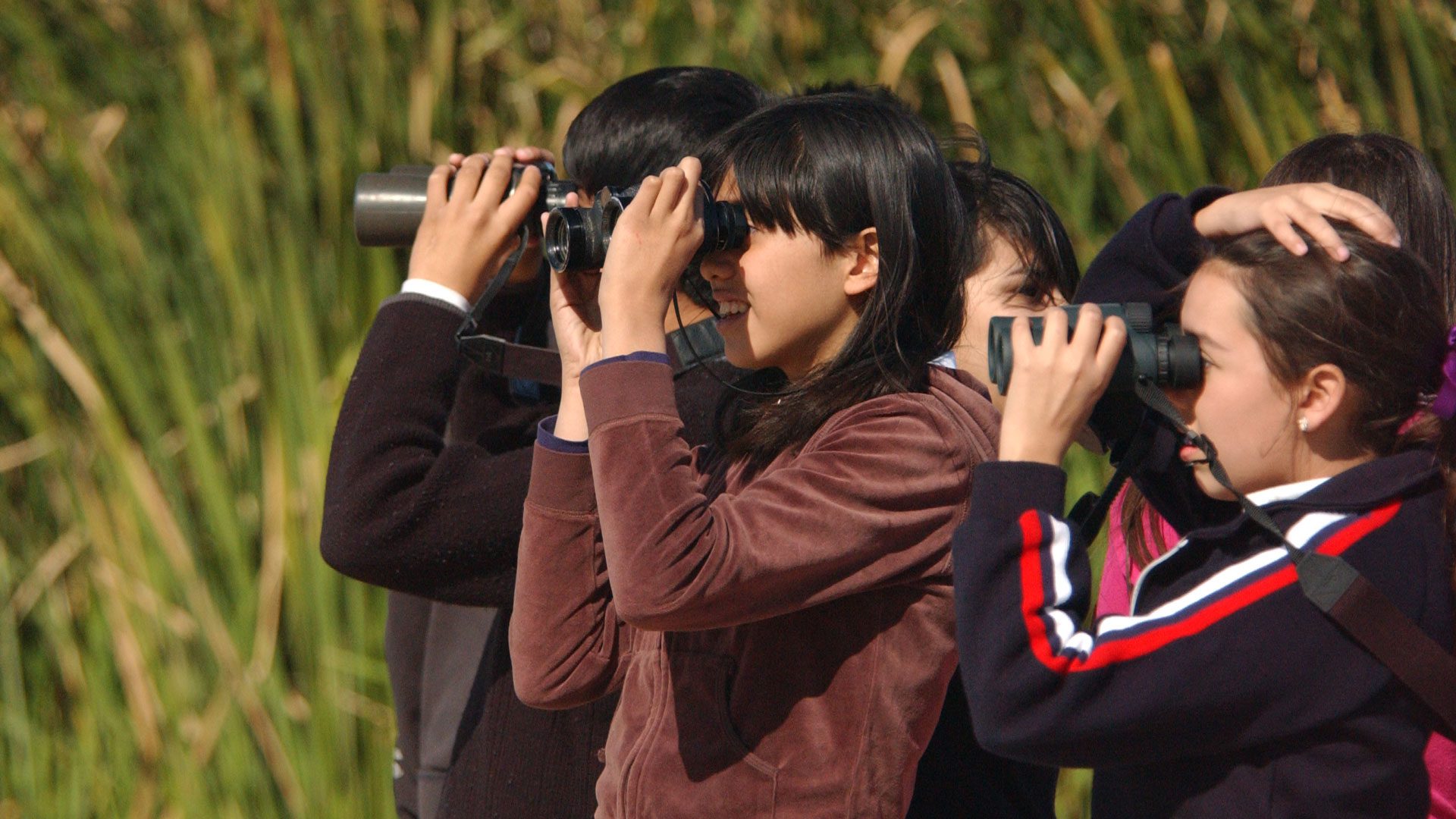 A group of students outdoors look through binoculars.