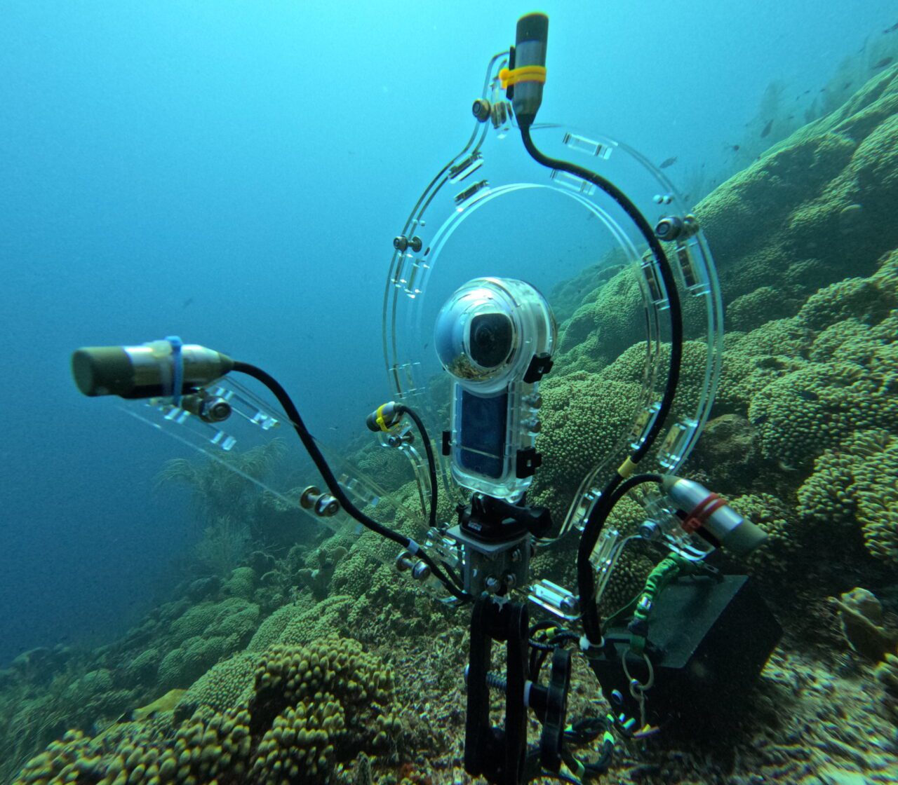 Underwater camera equipped with microphones
