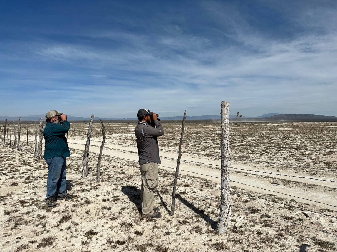 Two people surveying for birds in the Chihuahuan Desert Grasslands.