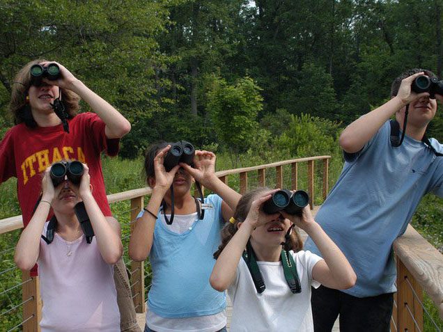 tap or click to view our binocular reviews