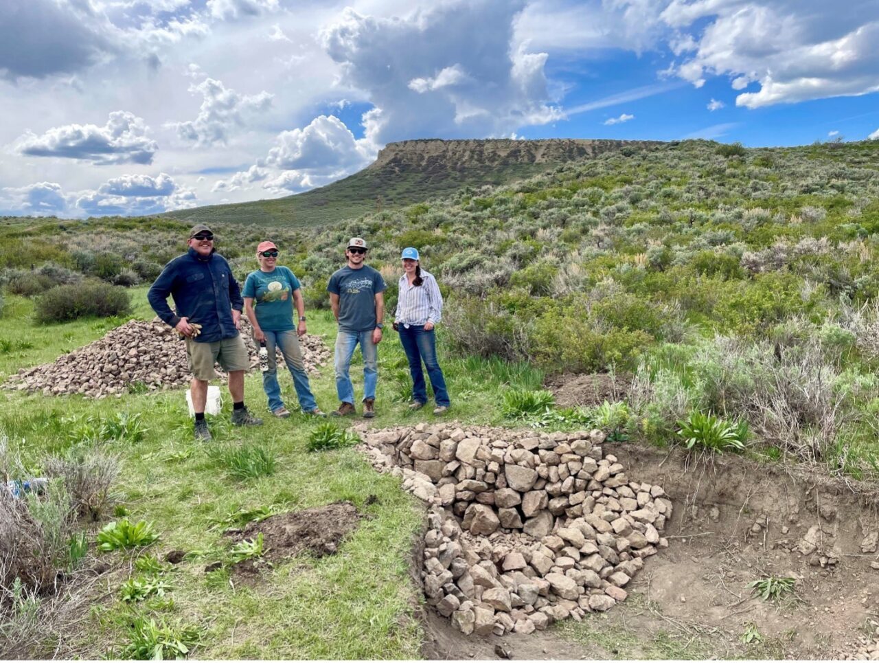 Four people standing in a shrubby grassland discussing a water retention feature
