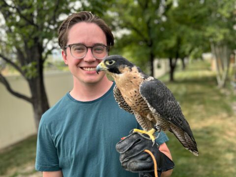 Scott Nielson holding a falcon