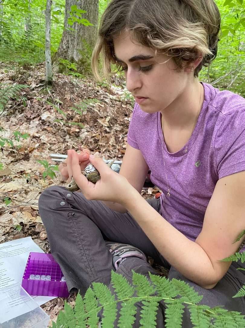 Forg collecting fecal samples