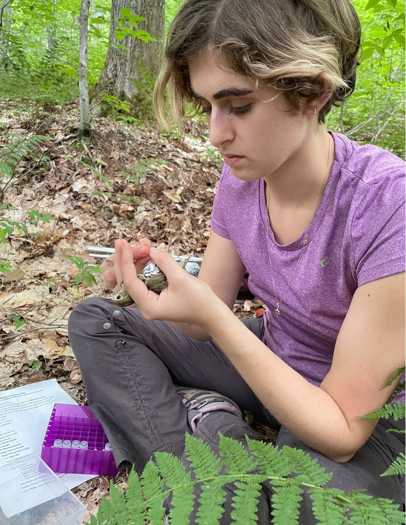 Forg collecting fecal samples
