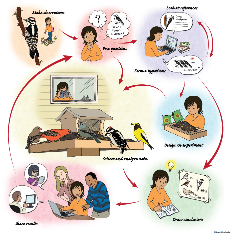 Science Process discovery process poster 