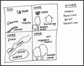 This shows an illustrated version of how to fill in the chart to the right. It shows food, cover, water, and space as well as other. 