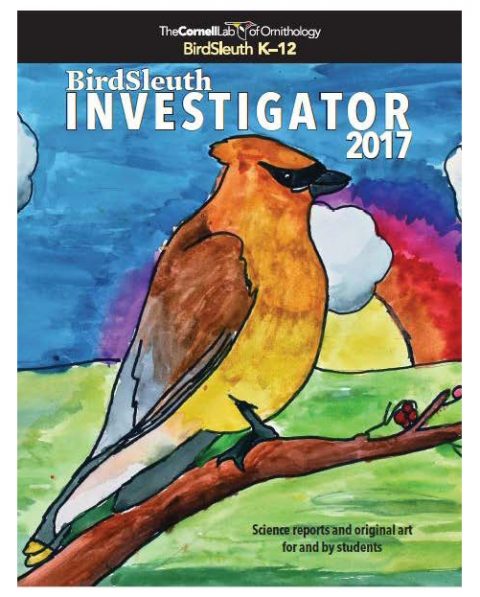 BirdSleuth Investigator 2017