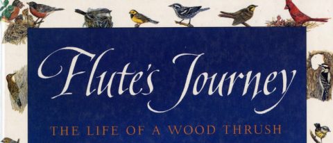 Flutes-Journey_book_cover