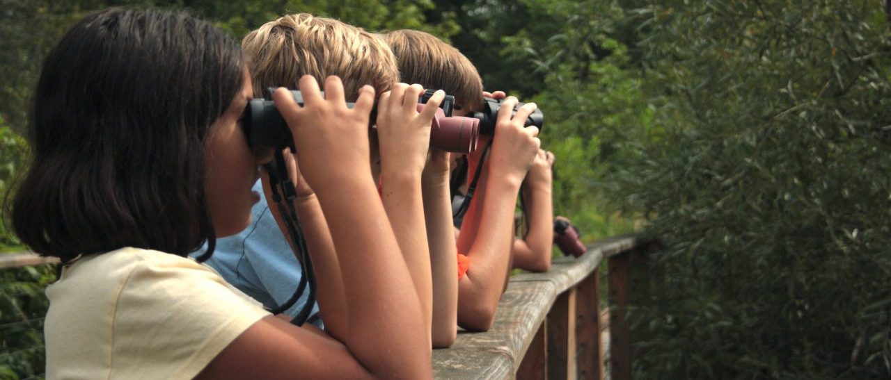 Students Bird Watching