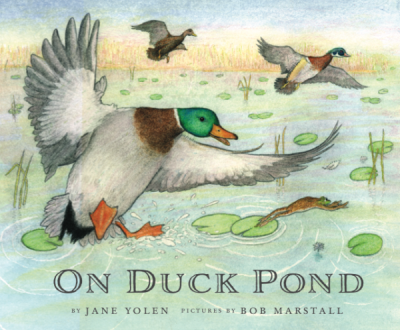 On Duck Pond Book Cover