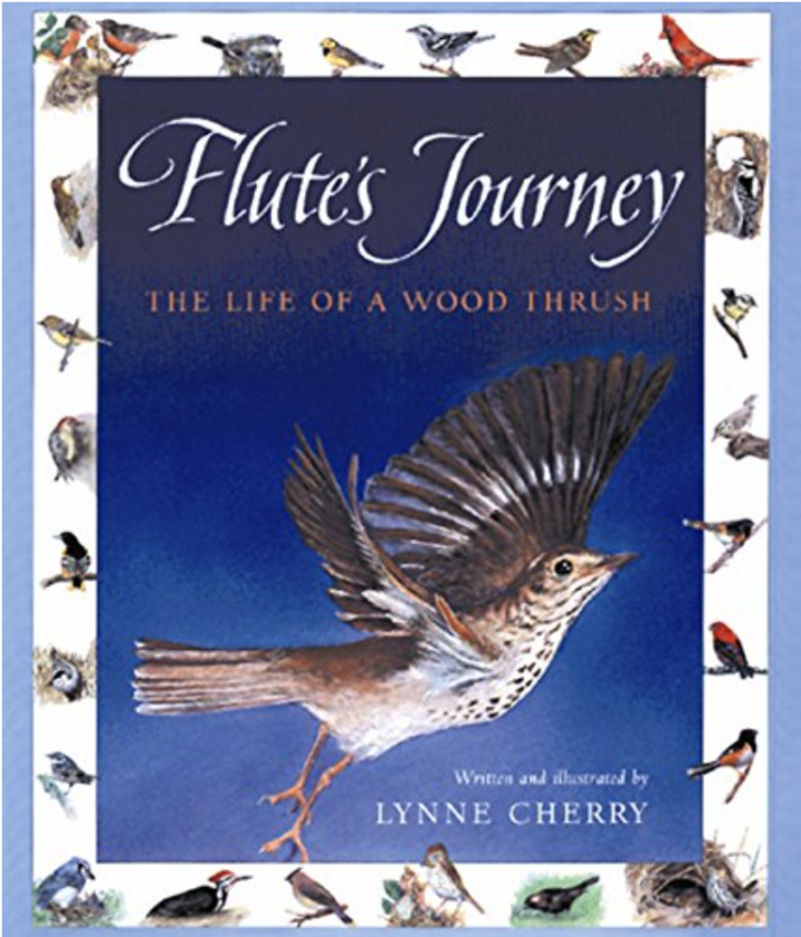 "Flute's Journey - The life of a wood thrush" book cover. Written and illustrated by Lynne Cherry