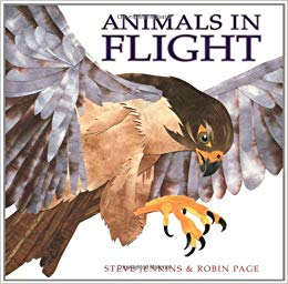 "Animals in Flight" book cover by Steve Jenkins and Robin Page