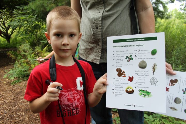 Nature Detective Kit cards