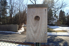 This image shows a nest box that had been installed