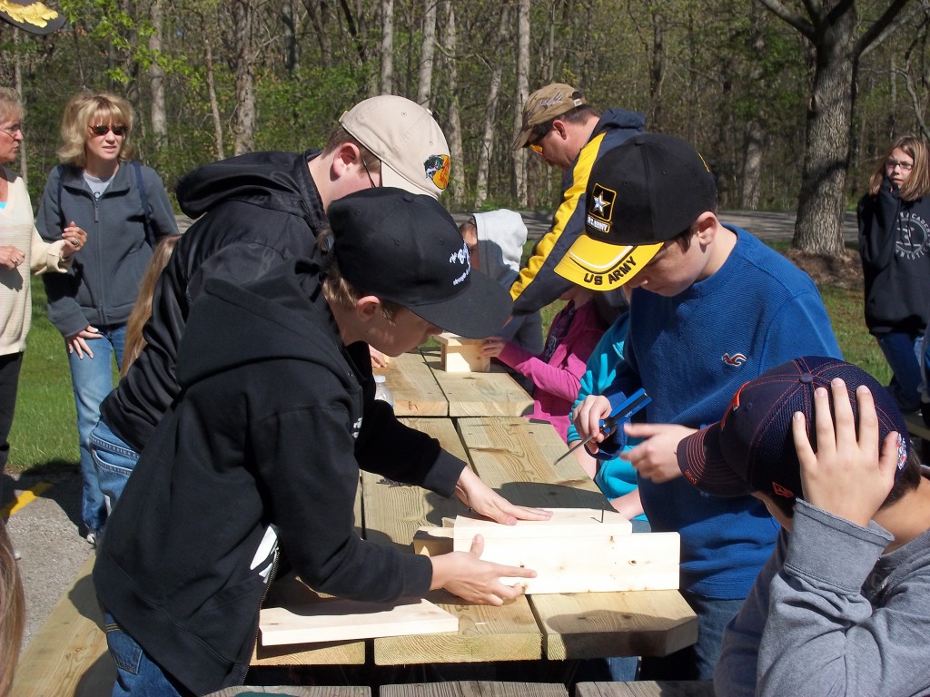 building nest boxe