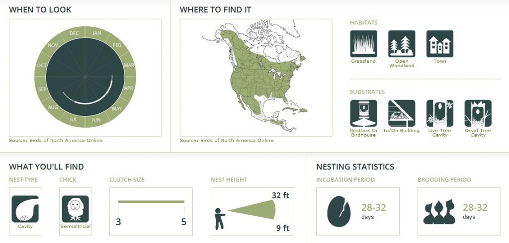 These images show different Nest Watch features that can be accessed via the Nestwatch link above. Features mentioned are "when to look, where to find it, habitats, substrates, what you'll find (nest type, chick, clutch size, nest height), and nesting statistics."