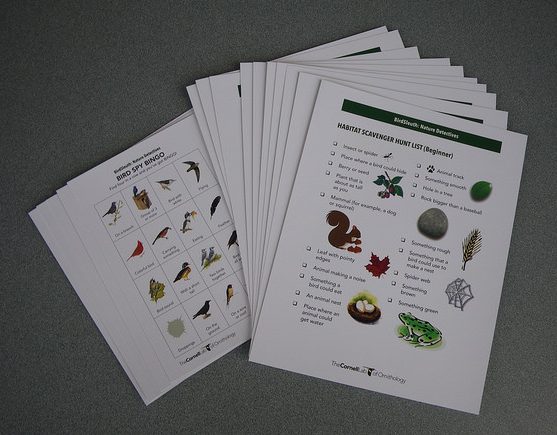 Image of Scavenger Hunt cards which can be found via the link to the right labeled Scavenger Hunt Cards