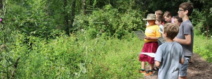 Kids on a nature walk