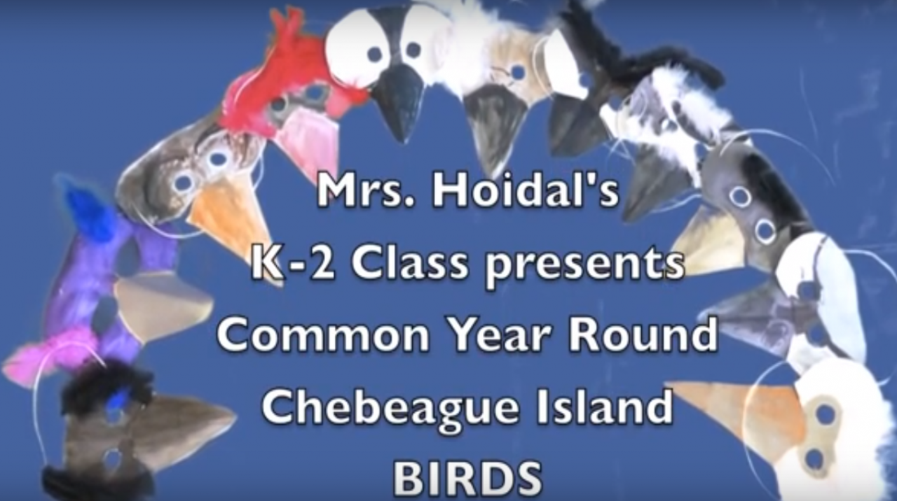 action map Mrs. Hoidal's class