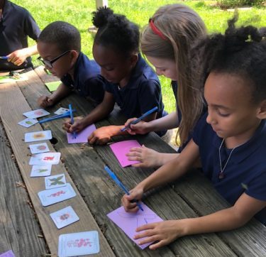 Outdoor pollination lesson