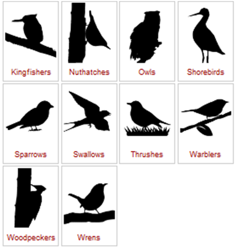image showing silhouettes of birds