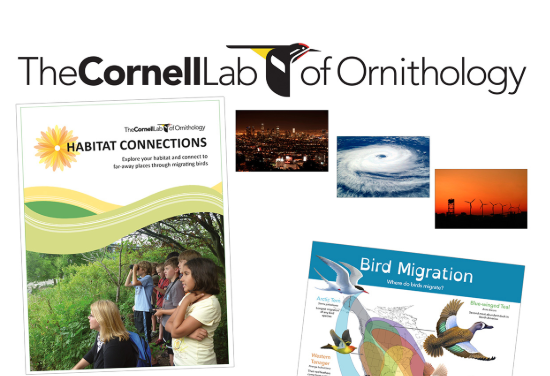 Shows examples of Cornell Lab of Ornithology NASCO materials