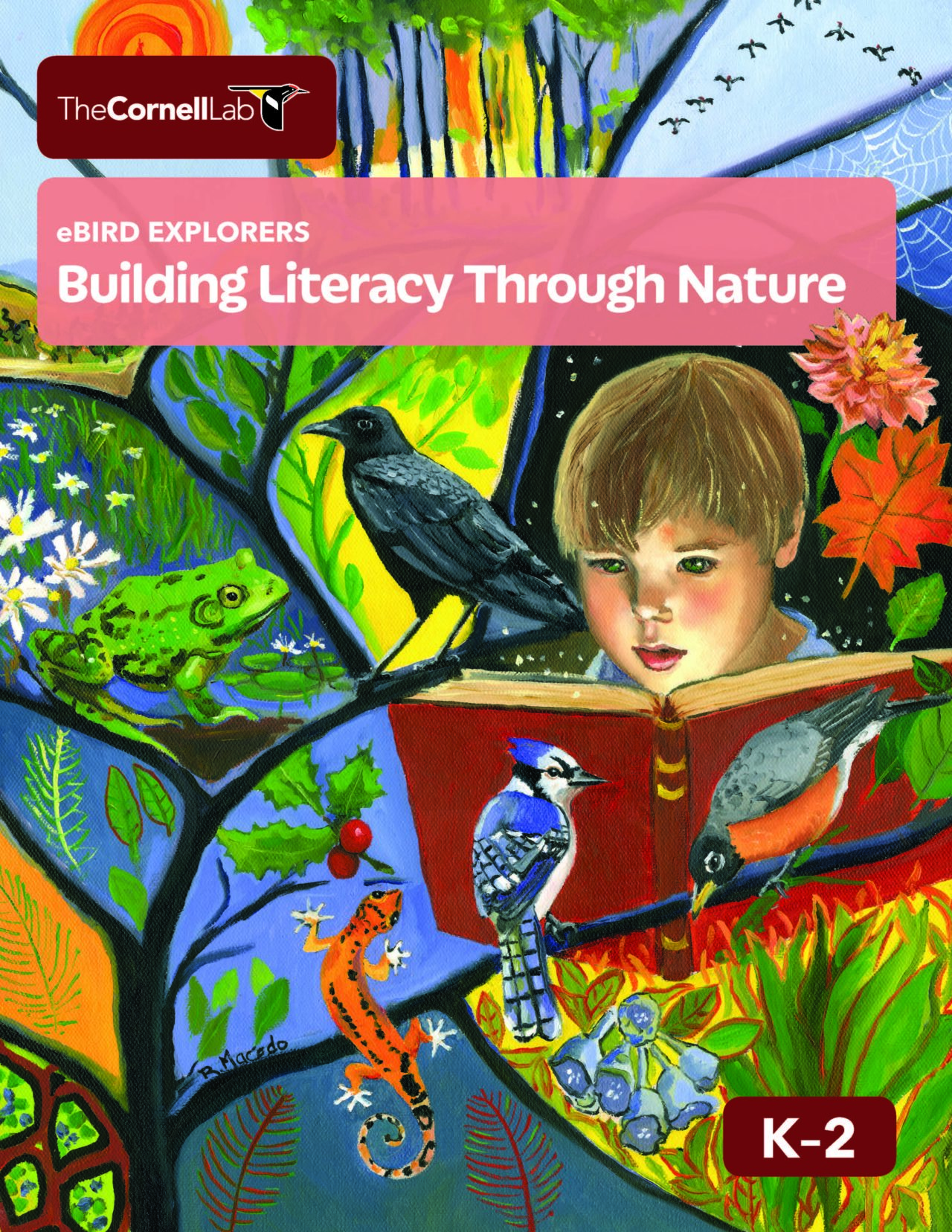 Photo shows the eBird K-2 cover for "Building Literacy Through Nature" Depicted is a child reading a book surrounded by images of wildlife they have discovered by learning from this kit.