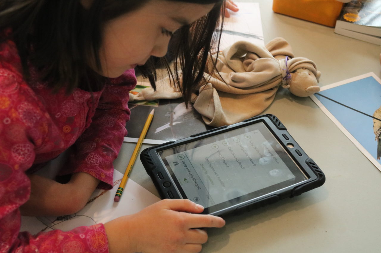 Child looking at their tablet