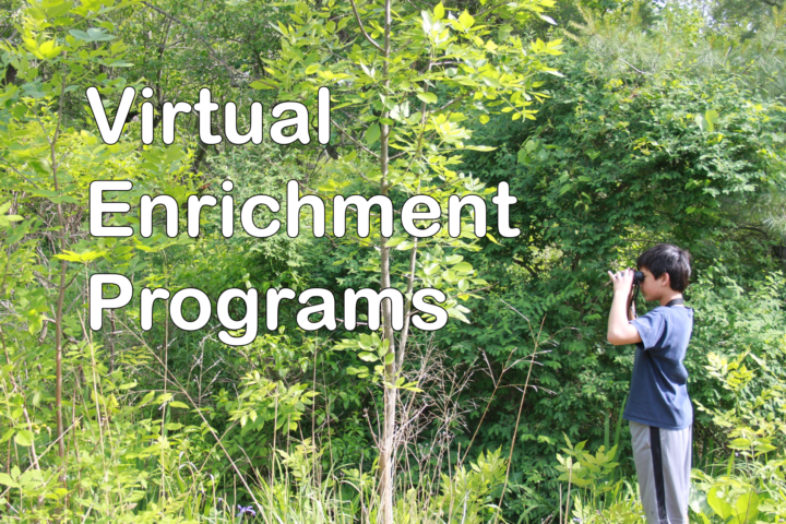 Virtual Enrichment Programs