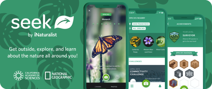 seek by iNaturalist app