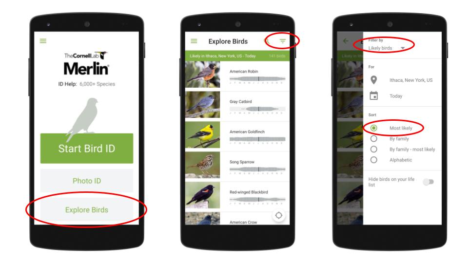 Instructions of image: 1: Select "Explore Birds" 2: Hit "filter" 3: Filter by: "Likely Birds" 4: Sort by "Most Likely"