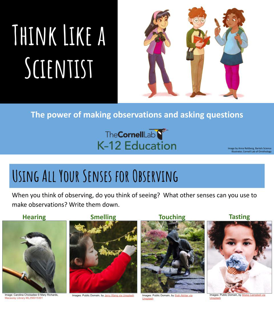 Two slides from the Think Like a Scientist Cooped Up Kids lesson