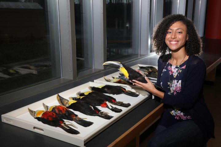 Amelia-Juliette Demery in front of a table of toucans holding a toucan.