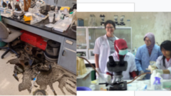 Left part of the photo is a lab accident while the right part of the photo shows people working in the lab.