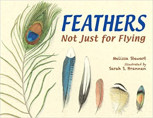 Feathers not just for Flying book cover