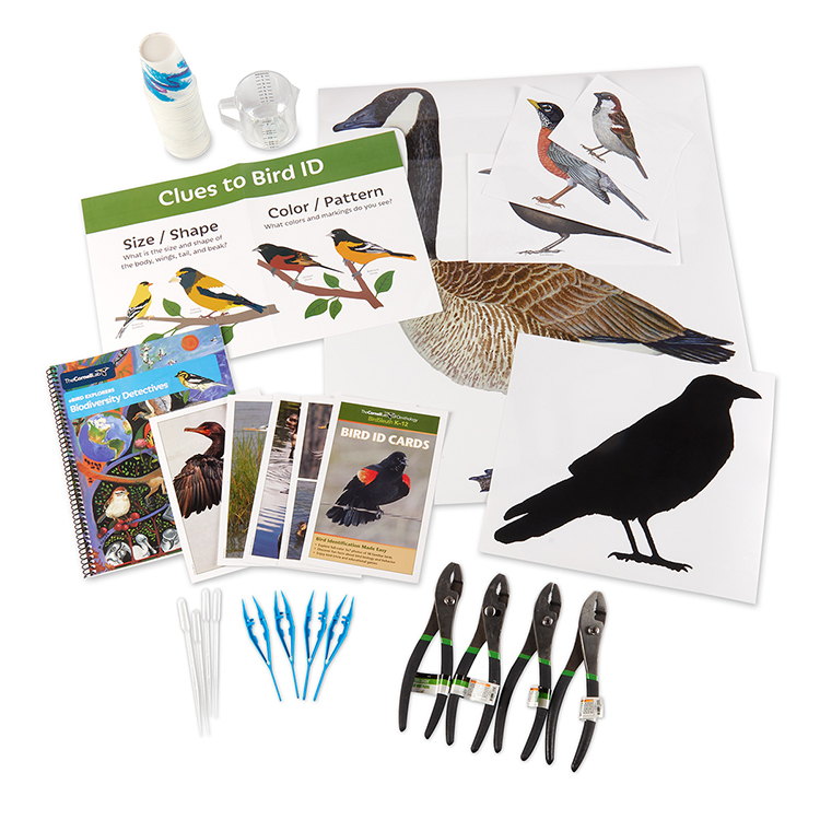 Photo of the contents of the eBird Explorers: Biodiversity Detectives kit. Go to eBird Explorers: Biodiversity Detectives link located above this picture under What you receive: Kit: for full description of kit contents.