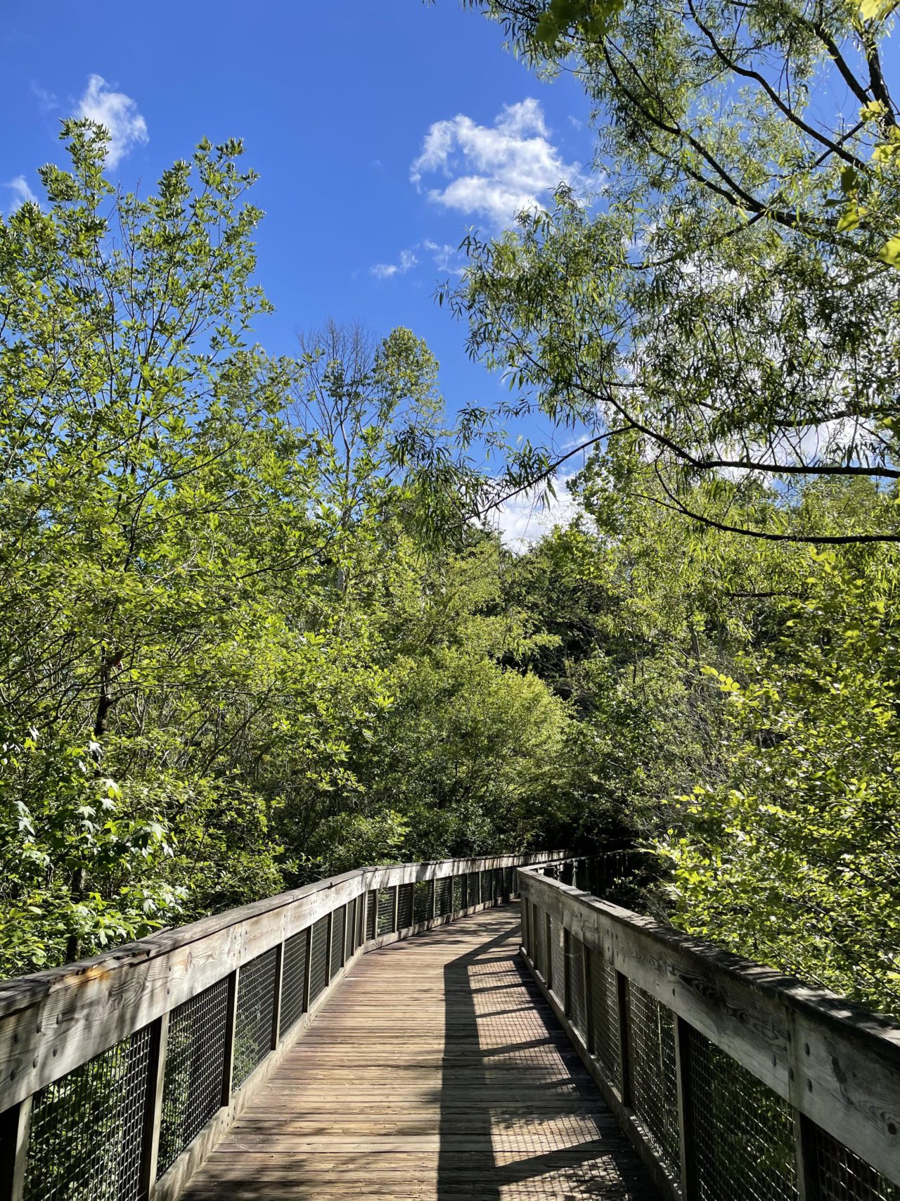 The boardwalk at George Piece Trail, a trail in George Piece Park in Atalanta, GA.