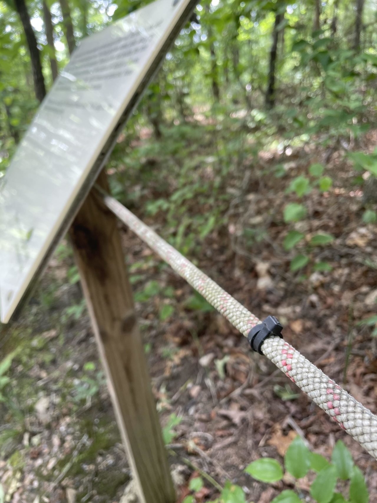A guide rope with zip ties and a sign with both braille and large print. This is the Braille Trail at Gwinnett Environmental and Hertiage Center in Georgia.