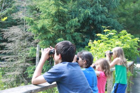 Kids on a bridge look into the distance through binoculars.