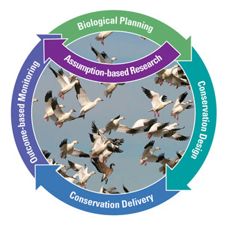 Joint Venture Planning Diagram