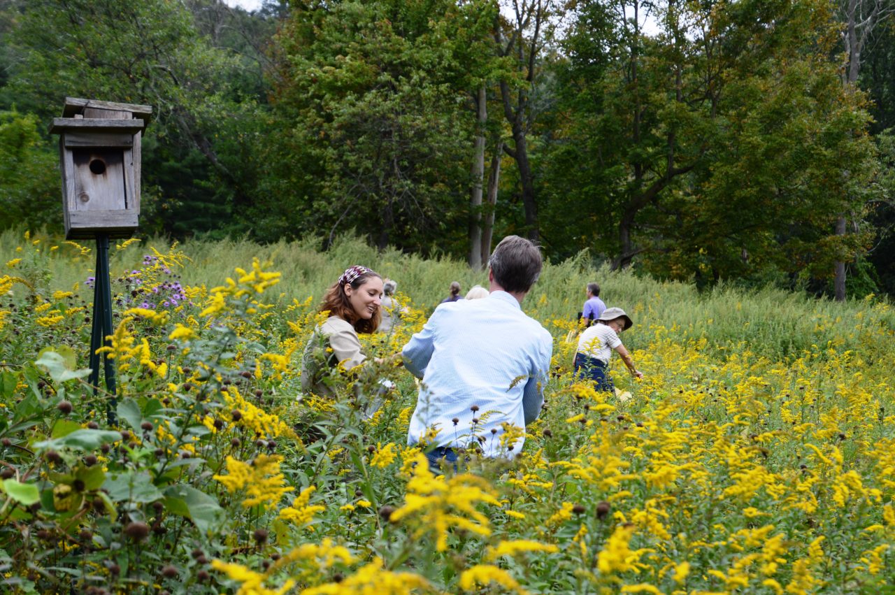 meadow management workshop