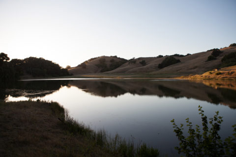 Serene view if Santa Rita Ranch Reservoir