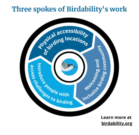 Three spokes of Birdability work