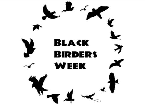 Black Birder