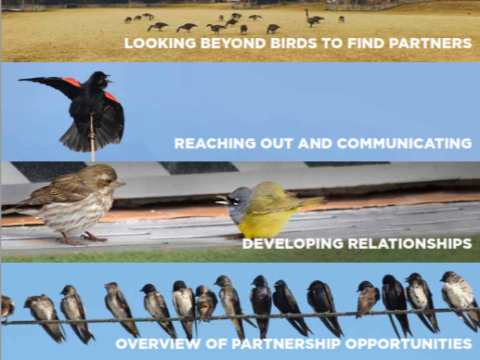 NABCI field guide to partnerships