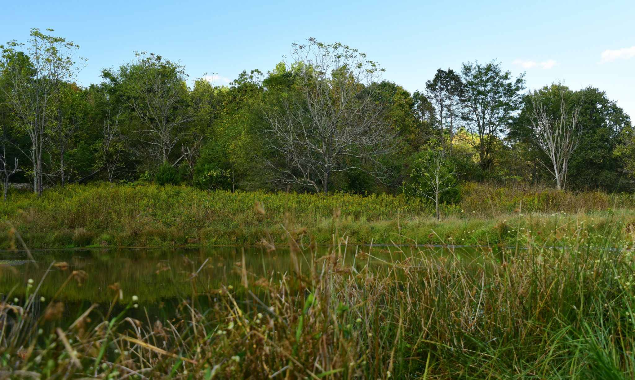 Assess And Evaluate Management Land Trust Bird Conservation Initiative assess-and-evaluate-management-land-trust-bird-conservation-initiative