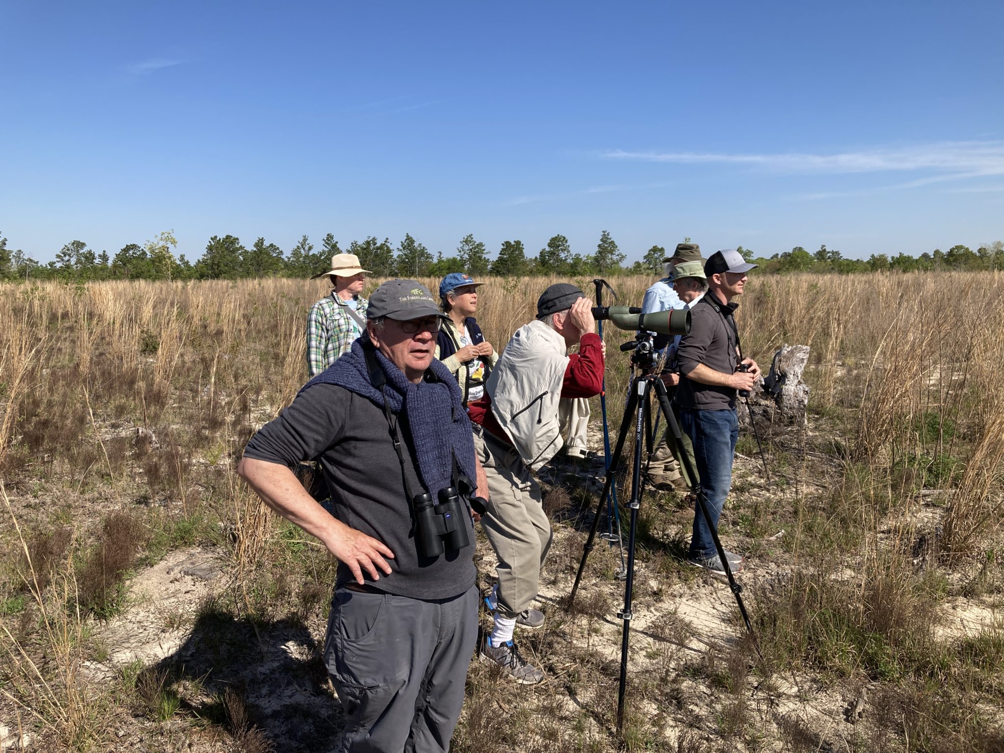 Land Prioritization Land Trust Bird Conservation Initiative land-prioritization-land-trust-bird-conservation-initiative