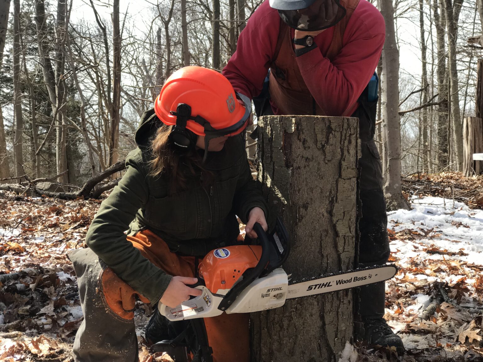 Westchester Land Trust Land Trust Bird Conservation Initiative