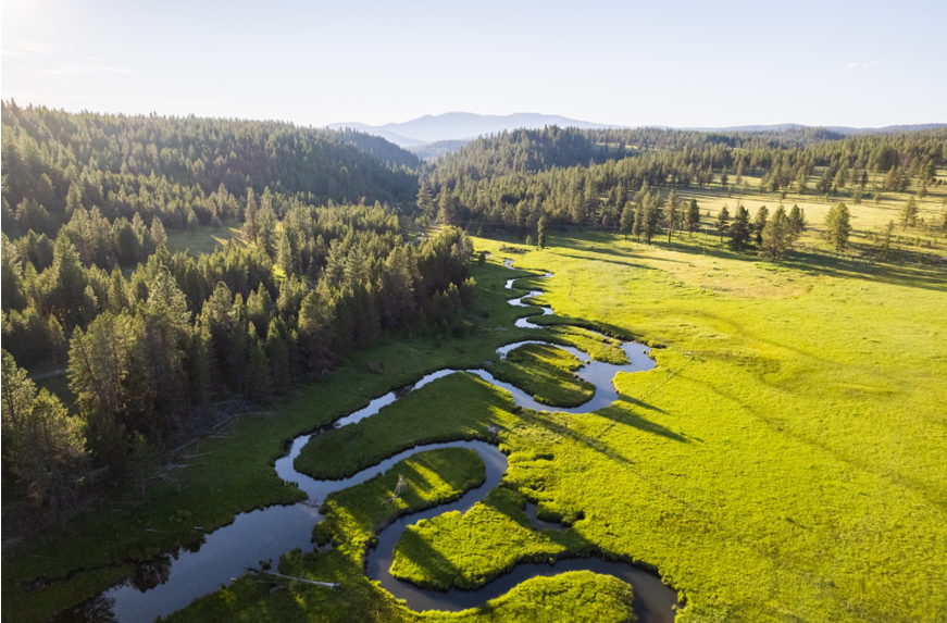 What is a Fen? The Nature of ACRES' Springy Places - ACRES Land Trust