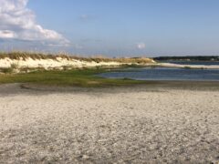 A sandy beach on Dauphin Island